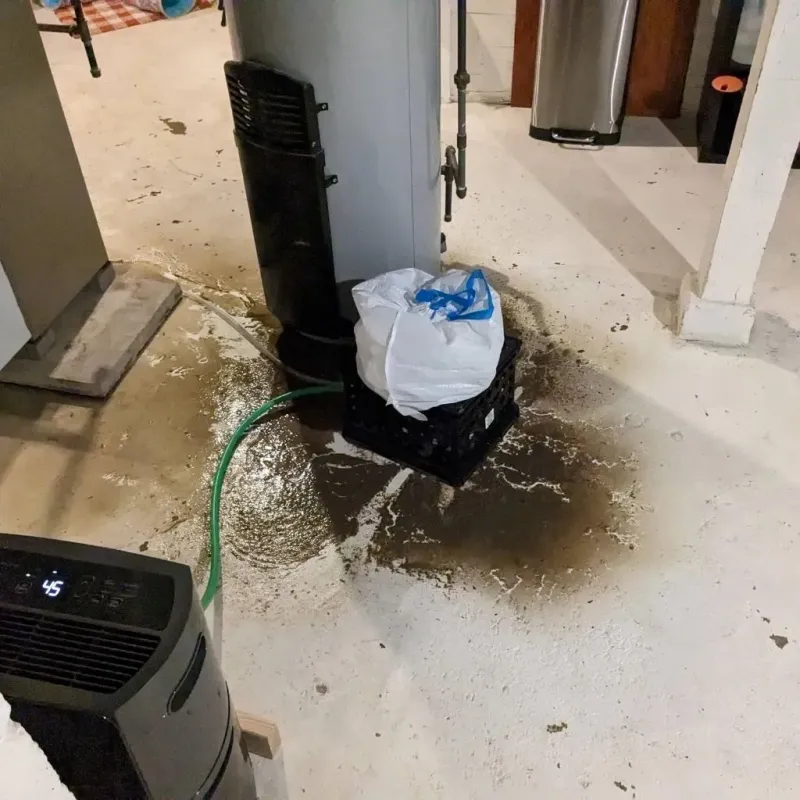 Sewage Backup Cleanup Service in Cooper County, MO